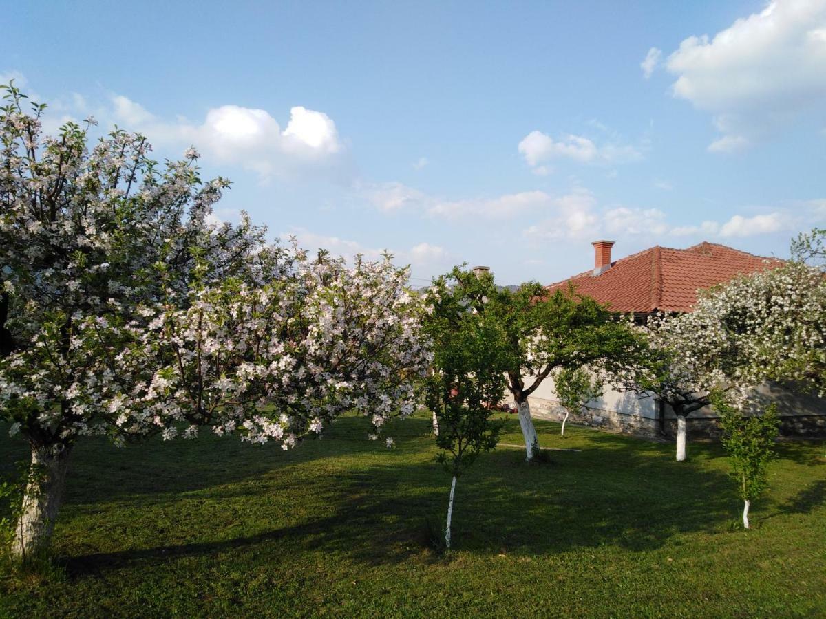Apartamento Mala Basta Bajina Basta Exterior foto